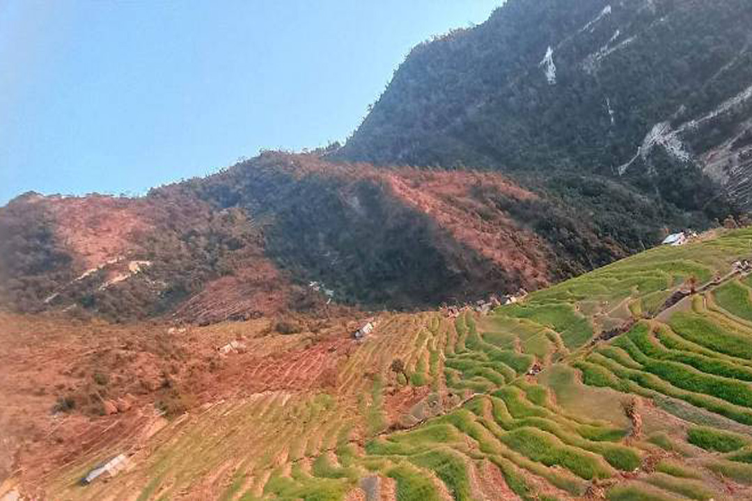 भोकमरी हुने चिन्तामा किसान : कतै खडेरी, कतै असिनाको प्रभाव 
